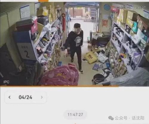 成山快递员爆料视频播放,揭秘成山快递爆火背后的真实故事