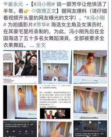 爆料冯小刚住宅视频,揭秘明星豪宅生活