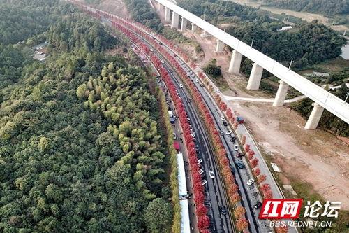 益阳网红路,探寻城市新地标的风采之旅